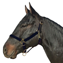 Best Friend Safety Breakaway Halter / Headcollar